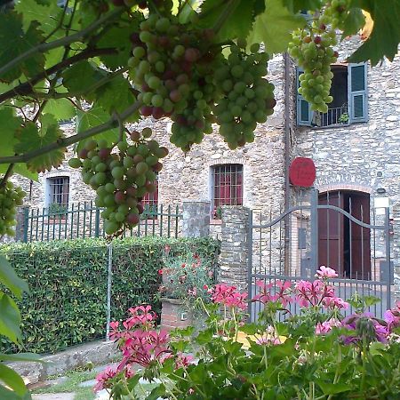Villa Agriturismo A Veggia Vigna Garlenda Exterior foto