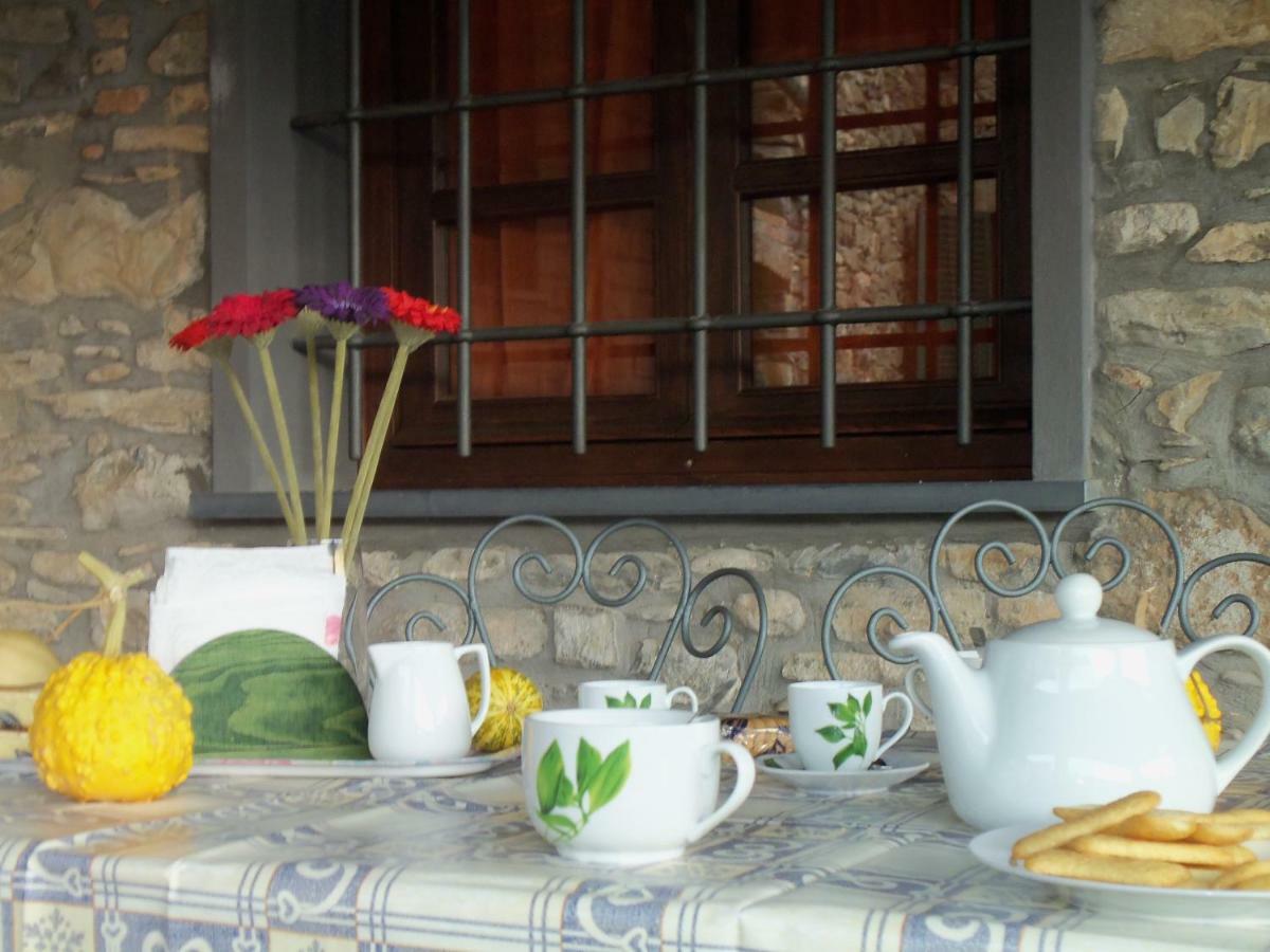 Villa Agriturismo A Veggia Vigna Garlenda Exterior foto